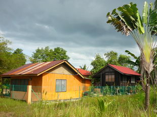 Housing in the field ©MNeP